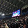 DSC02379 (2)